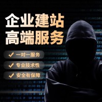 网站建设-网络推广-公众号小程序制作-效果满意