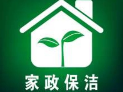 成都温江区林大姐家政保洁公司,温江