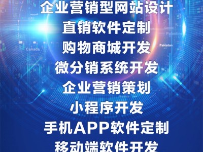 直销双轨制软件,双轨源码报单系统,双轨制后台结算系统