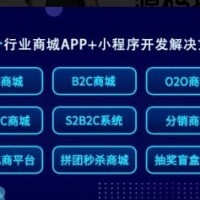 成都软件开发公司-成都APP开发应用元宇宙虚拟直播系统