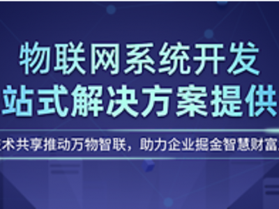 成都软件开发公司-成都APP开发应用B2C平台系统开发