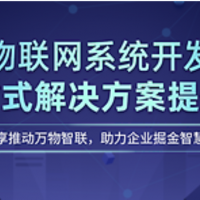 成都软件开发公司-成都APP开发应用B2C平台系统开发