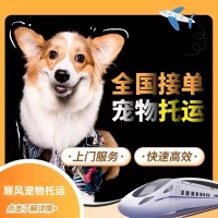 成都顺风宠物托运活体物流猫狗速运空运全国连锁